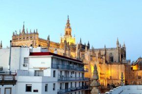 Vistas Catedral Tomas de Ibarra Parking Opc